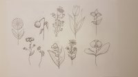 Leonie H.: 10 Epochen der Kunstgeschichte - mal anders