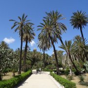 Palmengarten in Palermo